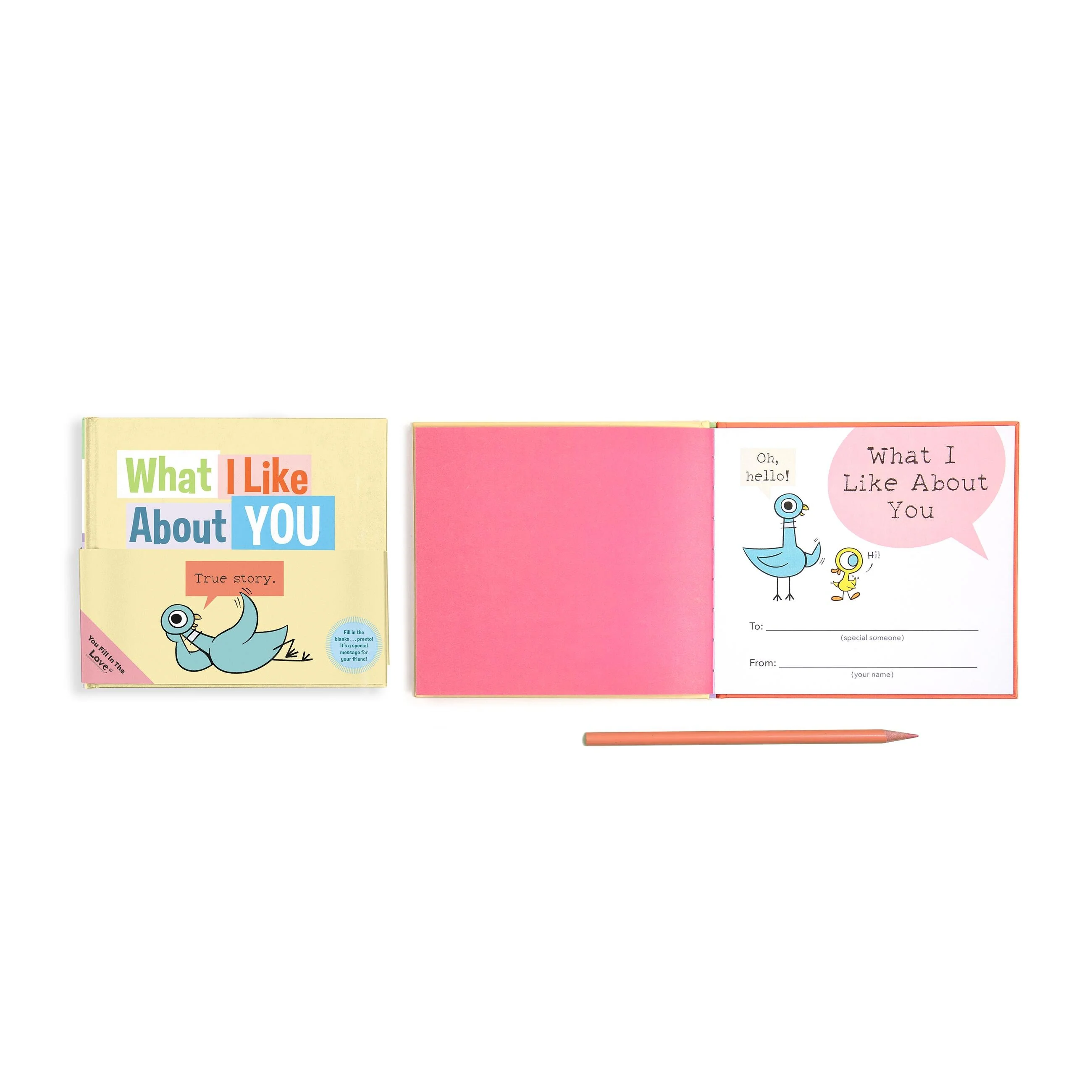 What I Like About You (The Pigeon) - Image 4