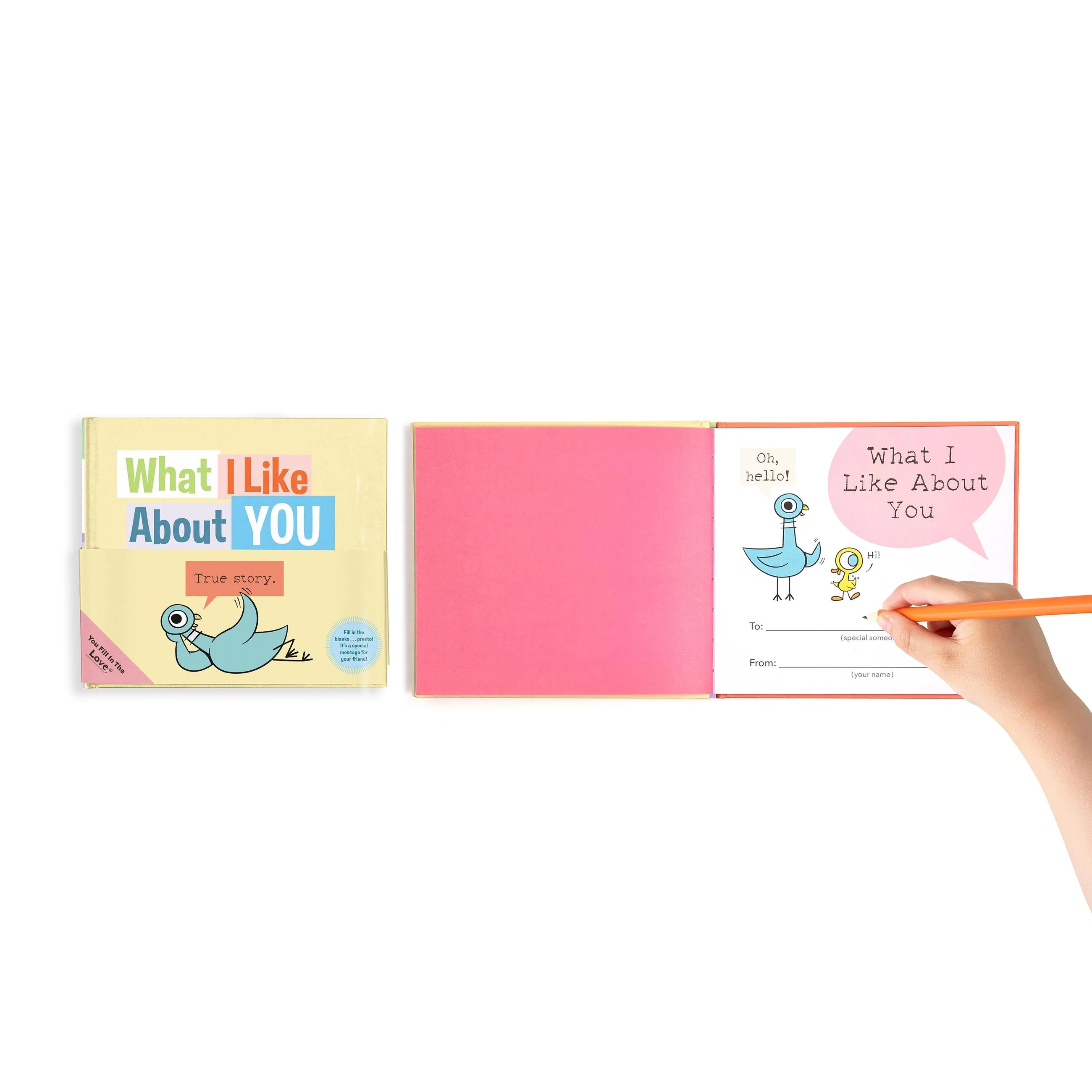 What I Like About You (The Pigeon) - Image 5